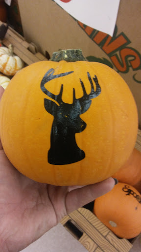 Grocery Store «Winn-Dixie», reviews and photos, 9822 US-301, Riverview, FL 33578, USA