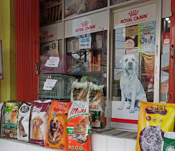 Bali Pet Shop Dalung photo