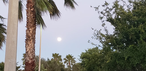 Park «Zinnia Park», reviews and photos, 5201 N 29th St, McAllen, TX 78504, USA