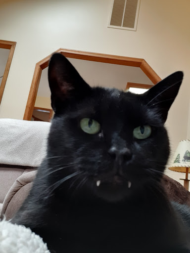 Animal Shelter «Humane Society of Ocean City», reviews and photos, 1 Shelter Rd, Ocean City, NJ 08226, USA