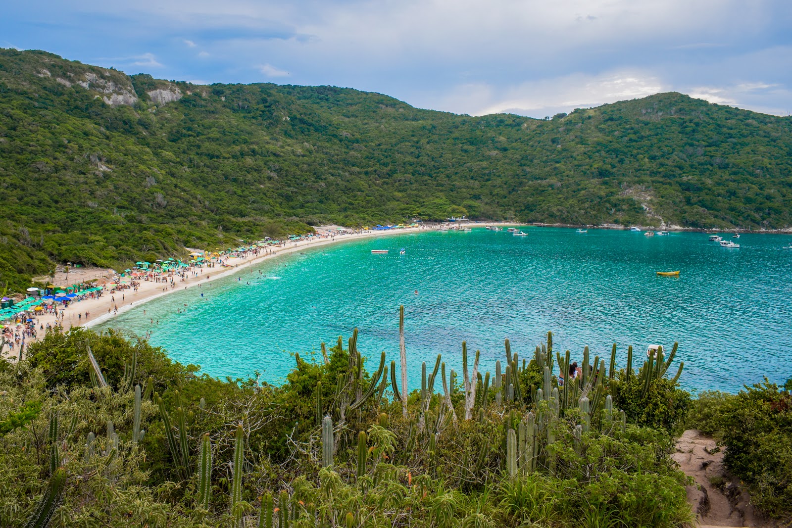 Foto de Praia do Forno apoiado por penhascos