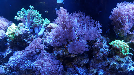 Science Museum «Orlando Science Center», reviews and photos, 777 E Princeton St, Orlando, FL 32803, USA