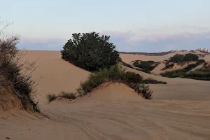 Ashdod Sand Dune image