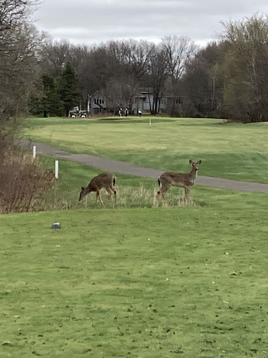 Golf Club «Majestic Oaks Golf Club», reviews and photos, 701 Bunker Lake Blvd, Andover, MN 55304, USA