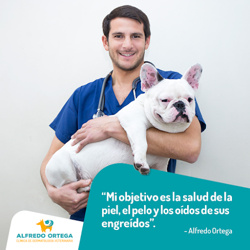 Alfredo Ortega - Clínica de Dermatología Veterinaria - Dermatólogo