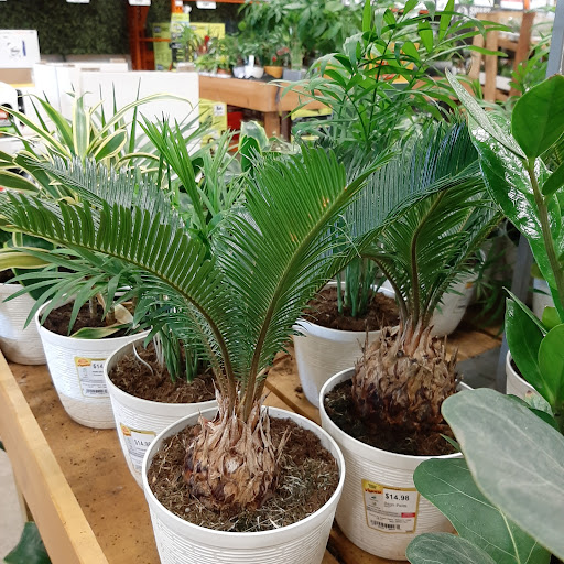 Home Improvement Store «The Home Depot», reviews and photos, 41 Nashua Rd, Londonderry, NH 03053, USA