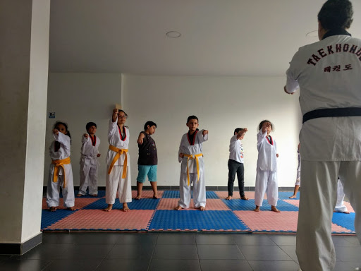 Clases de taekwondo en Barranquilla