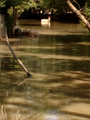 Gift Shop «River Birch Gifts», reviews and photos, 5944 General Puller Hwy, Locust Hill, VA 23092, USA