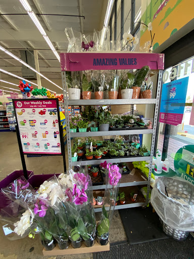 Discount Store «99 Cents Only Stores», reviews and photos, 11160 Magnolia Ave, Riverside, CA 92505, USA