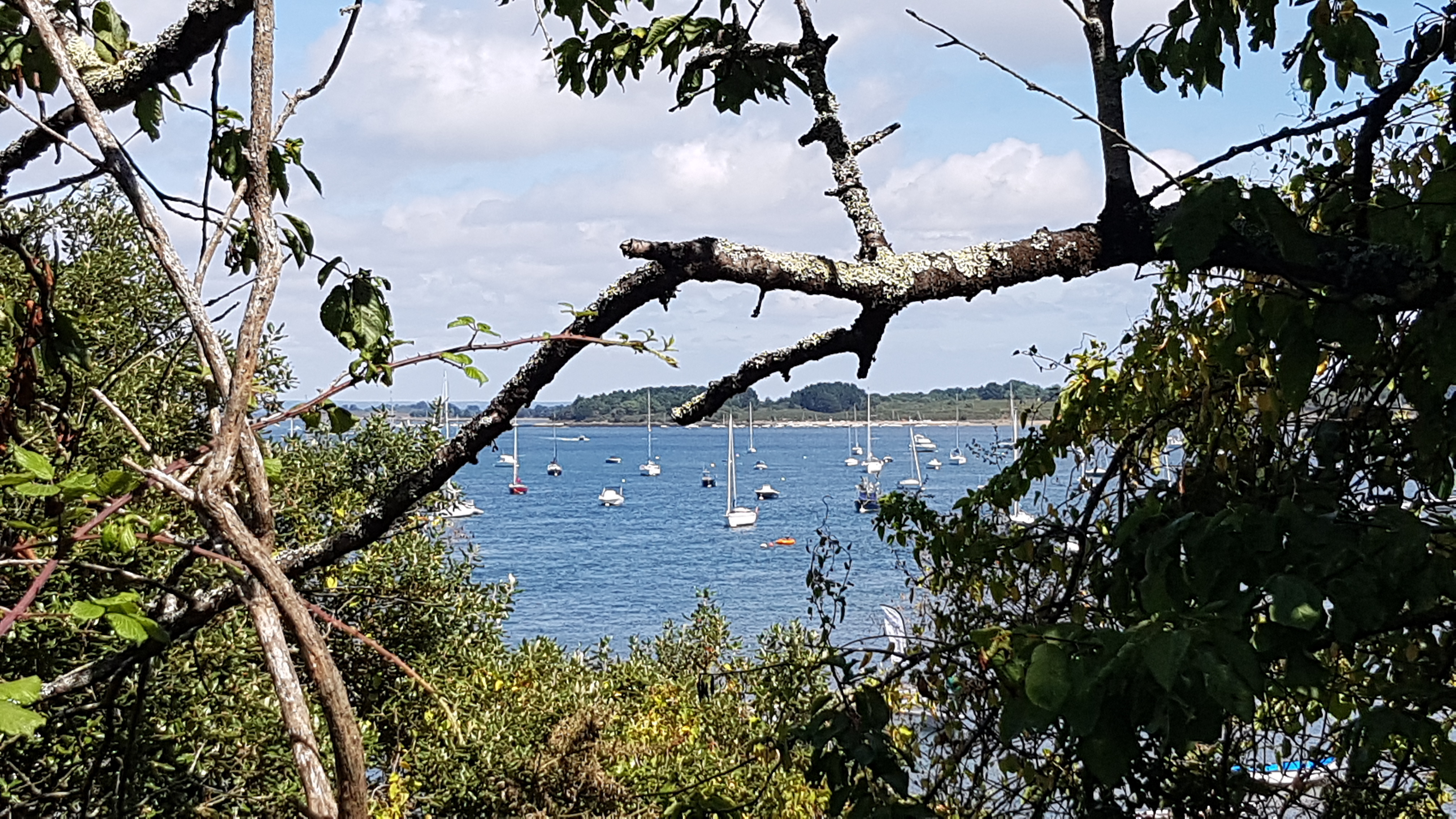 Photo n° 1 de l'avis de sandrine. fait le 11/08/2018 à 13:38