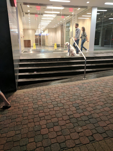 Department Store «Target», reviews and photos, 1500 Wilson Blvd, Arlington, VA 22209, USA