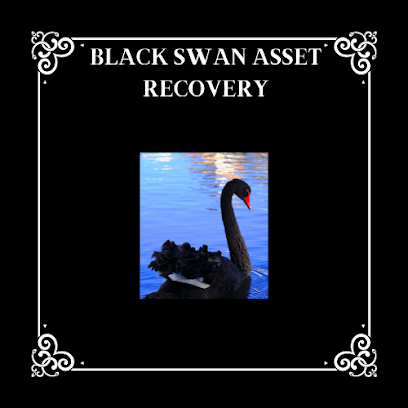 Black swan asset recovery