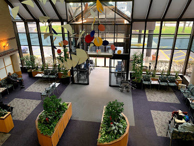 Dr. Kathleen A. Lamping, MD