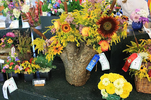 Fairground «Dutchess County Fairgrounds», reviews and photos, 6550 Spring Brook Ave, Rhinebeck, NY 12572, USA