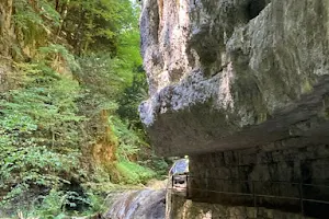 Twannbachschlucht image