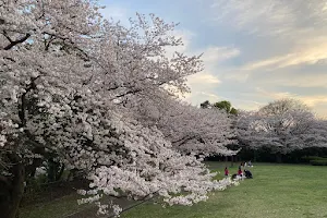 Honmoku Sancho Park image