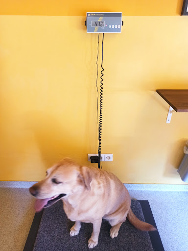 Veterinary practice Dr.Britta grains unter Oberhausen-Rheinhausen, Baden Württemberg