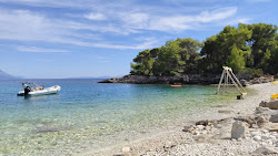 Foto van Puntica beach met hoog niveau van netheid