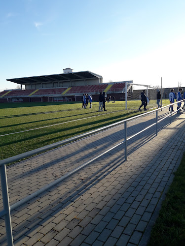 Avaliações doACD Estrela de Almeida em Almeida - Campo de futebol