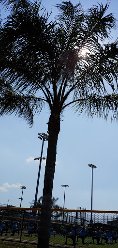 Sports Complex «Historic Dodgertown - Vero Beach», reviews and photos, 3901 26th St, Vero Beach, FL 32960, USA
