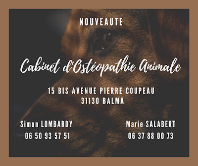 Cabinet d’Ostéopathie Animale Balma à Balma