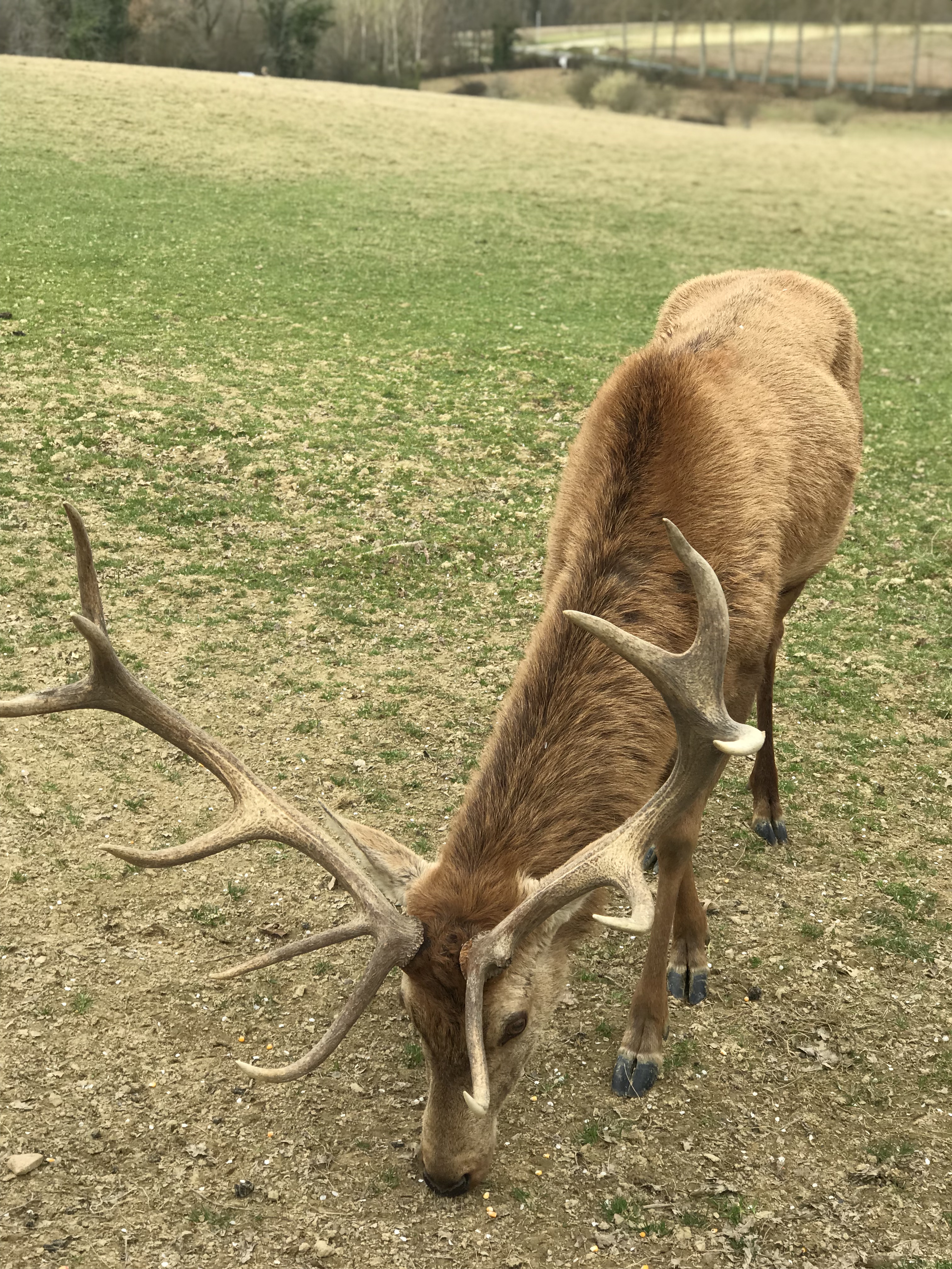 Photo n° 6 de l'avis de Roman.o fait le 19/03/2019 à 13:37