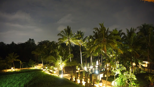 Cruise Agency «World Travel Inc», reviews and photos, 2525 NW Upshur St, Portland, OR 97210, USA