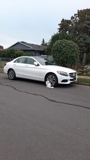 Coffee Shop «Palio Espresso and Dessert House», reviews and photos, 1996 SE Ladd Ave, Portland, OR 97214, USA