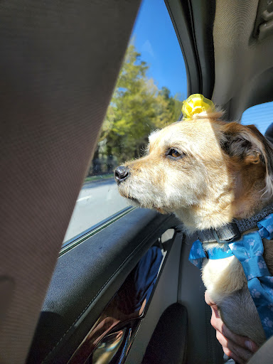 Pet Supply Store «PetSmart», reviews and photos, 8111 Brier Creek Pkwy, Raleigh, NC 27617, USA