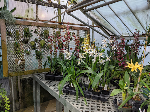 Florist «Little Brook Orchids», reviews and photos, 25 Rider Ave, Lancaster, PA 17603, USA