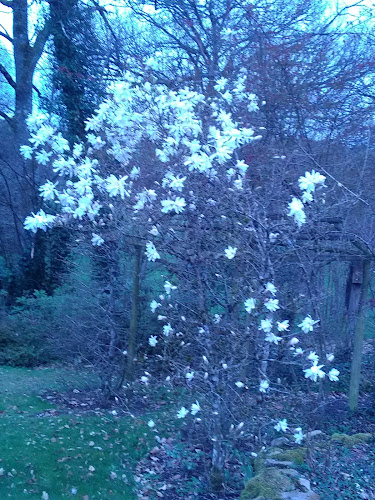 JARDIN DE LA GANILLE à Ussel