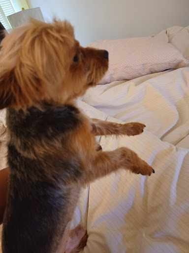 Pet Supply Store «EarthWise Pet Supply - Richardson», reviews and photos, 1310 W Campbell Rd #128, Richardson, TX 75080, USA