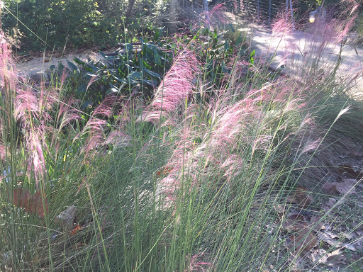 Park «Sheldon Lake State Park and Environmental Learning Center», reviews and photos, 14140 Garrett Rd, Houston, TX 77044, USA