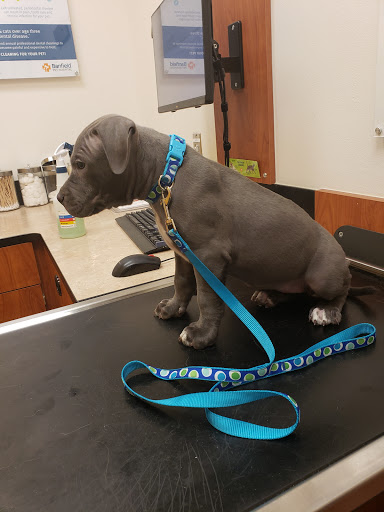 Pet Supply Store «PetSmart», reviews and photos, 11400 Financial Centre Pkwy, Little Rock, AR 72211, USA