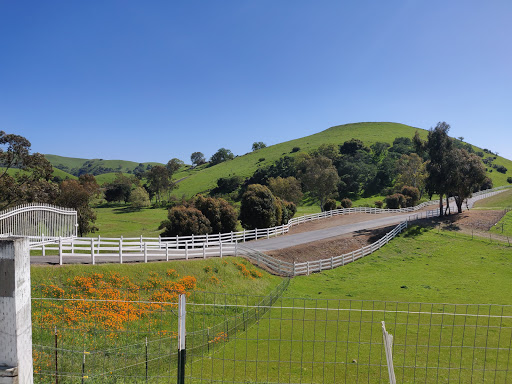 Nature Preserve «Sierra Vista Open Space Preserve», reviews and photos, 5355 Sierra Rd, San Jose, CA 95132, USA