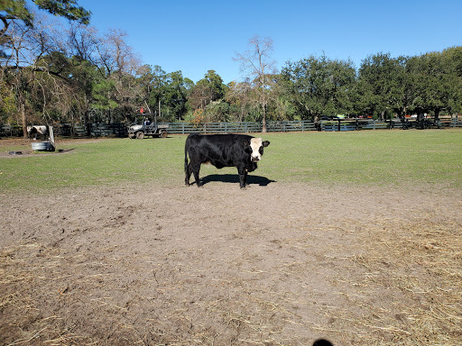 Stable «Lawton Stables», reviews and photos, 190 Greenwood Dr, Hilton Head Island, SC 29928, USA