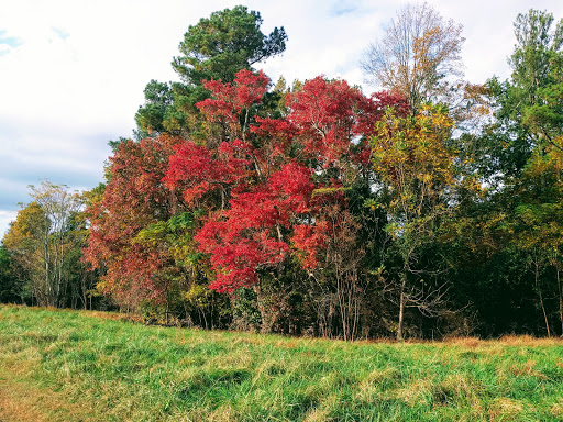 Park «Little Mulberry Park», reviews and photos, 3855 Hog Mountain Rd, Hoschton, GA 30548, USA