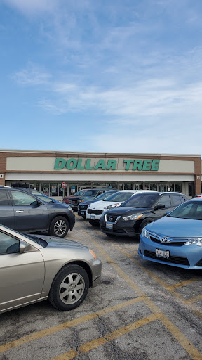 Dollar Store «Dollar Tree», reviews and photos, 8727 S Ridgeland Ave, Oak Lawn, IL 60453, USA