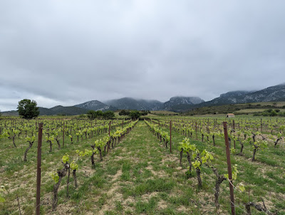 Domaine Benastra à Saint-Paul-de-Fenouillet