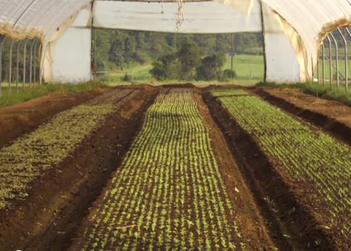 Produce Market «Blue Moon Acres», reviews and photos, 11 Willow Creek Dr, Pennington, NJ 08534, USA