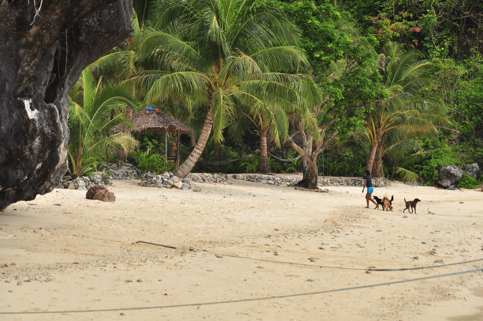 Foto di Cove El Nido Beach e l'insediamento