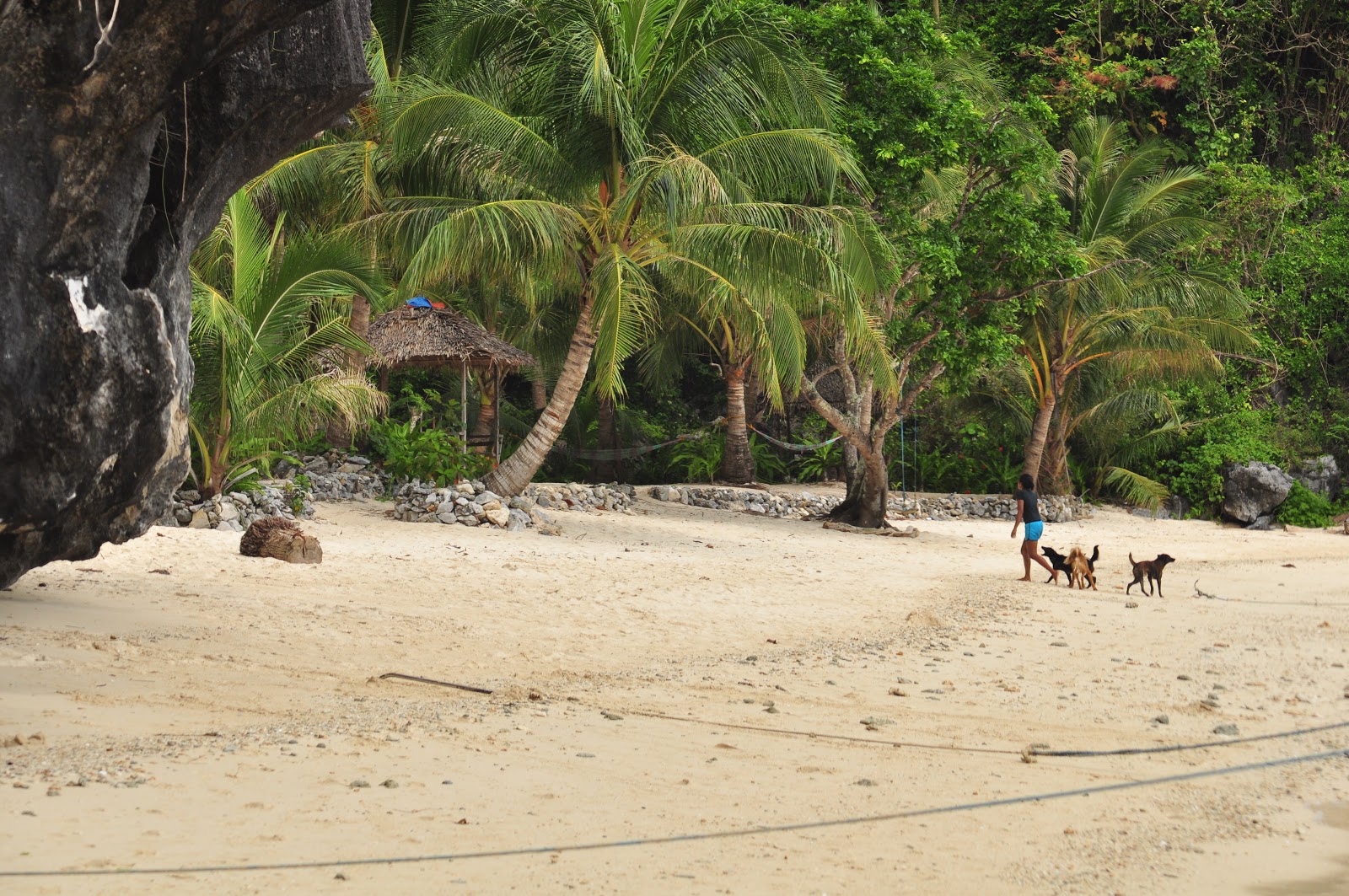 Foto di Cove El Nido Beach area servizi