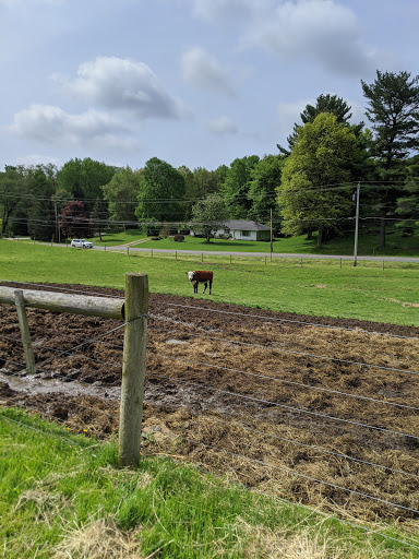 Butcher Shop «Duma Meats Inc», reviews and photos, 857 Randolph Rd, Mogadore, OH 44260, USA