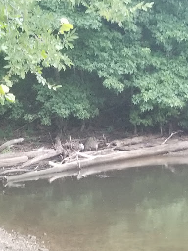 National Forest «Land Between the Lakes National Recreation Area», reviews and photos, 238 Visitor Center Dr, Golden Pond, KY 42211, USA