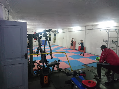 Kickboxing, Boxing and Gym - Public School № 166, 42 Akaki Tsereteli Ave, Tbilisi, Georgia