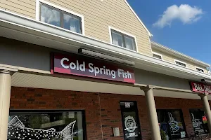 Cold Spring Fish image