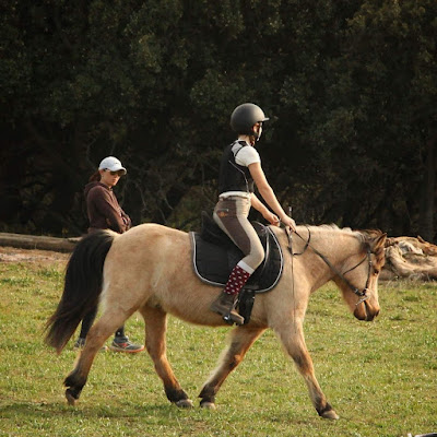 Christelle Poncié Monitrice / coach d'équitation DEJEPS - Dressage/Saut tous niveaux à Saint-Paul-Trois-Châteaux