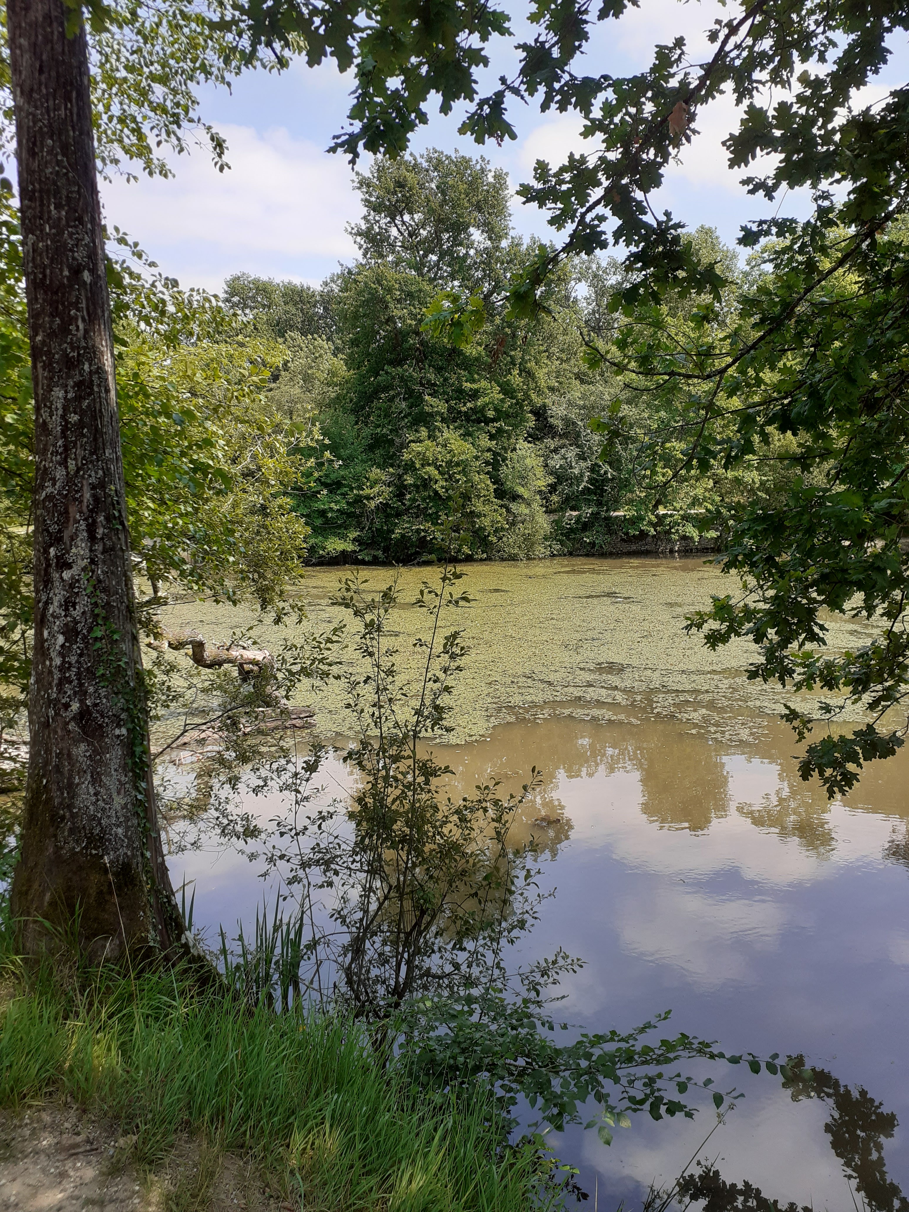 Photo n° 5 de l'avis de Marie-Claude.E fait le 05/10/2018 à 17:55