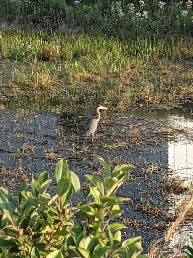 Insurance Company «Zurich American Insurance Company», reviews and photos