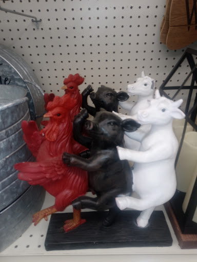 Discount Store «Big Lots», reviews and photos, 111 Racetrack Rd NW a, Fort Walton Beach, FL 32547, USA